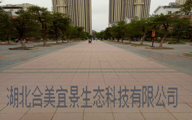武漢海綿城市